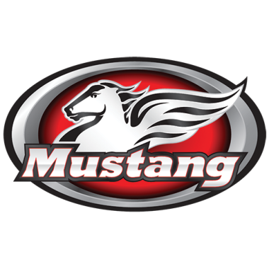 Mustang Seats