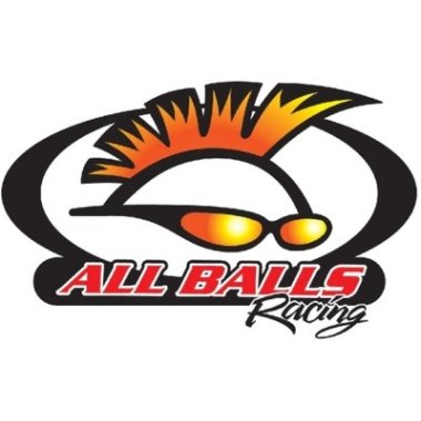 All Balls Racing